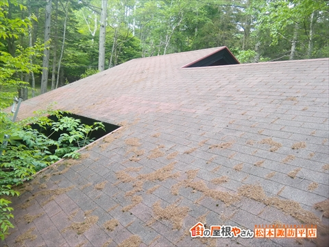 茅野市蓼科高原別荘アスファルトシングル屋根現地調査　まとめ